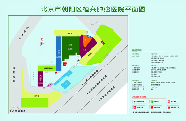 爆操大嫩逼北京市朝阳区桓兴肿瘤医院平面图